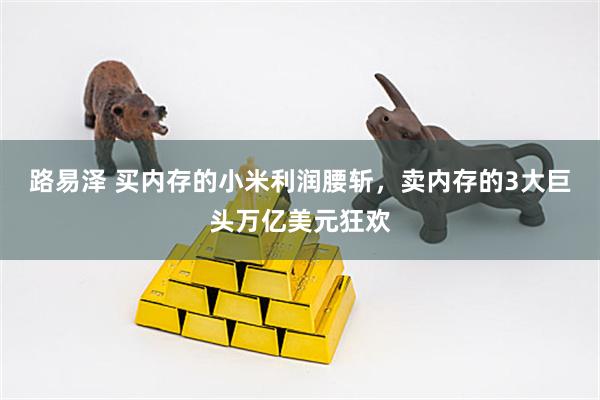 路易泽 买内存的小米利润腰斩，卖内存的3大巨头万亿美元狂欢